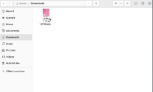 Installing Visual Studio Community Edition on Linux